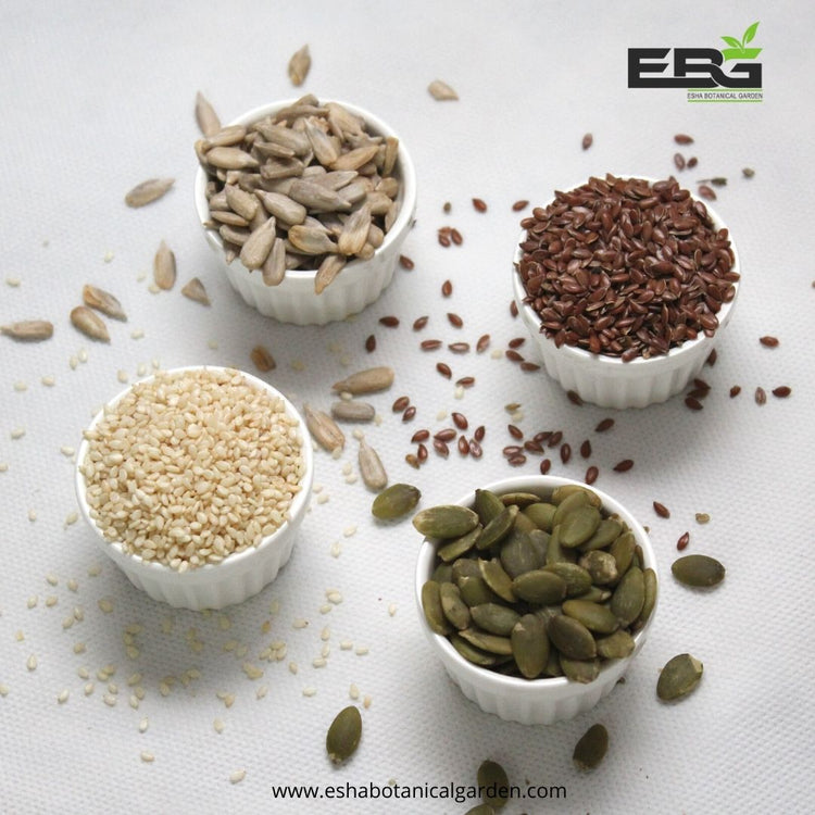 Grains & Seeds