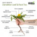 Dandelion Leaf & Root Tea | Caffeine-Free | Herbal Infusion | Burns Belly Fat